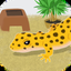 My Gecko -Virtual Pet Game- icon