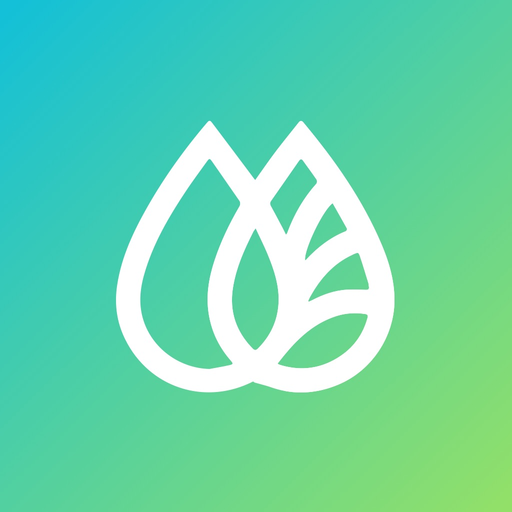 WashyWash app icon