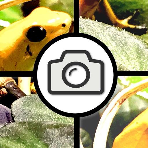 You.Puzzle app icon