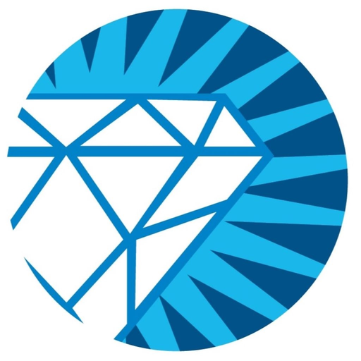Paragon Advisor app icon