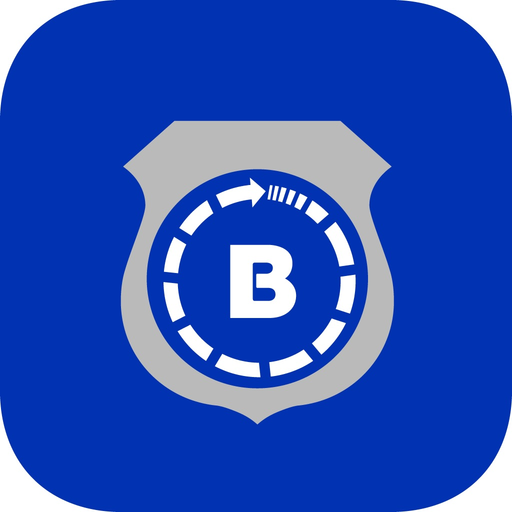 Brink's 24SEVEN app icon