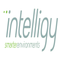 Intelligy Thermostat MKII icon
