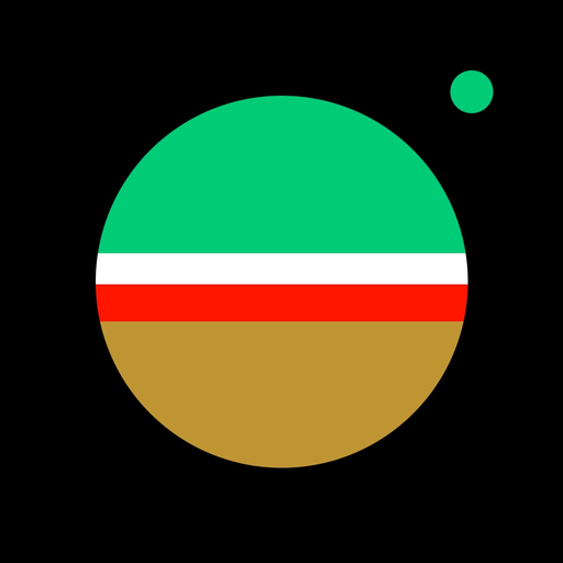 Simple - Disposable Camera app icon