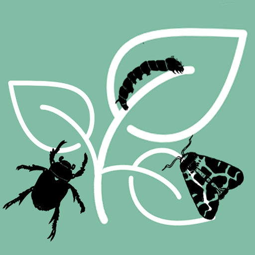 Pest ID app icon
