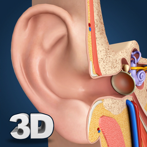 My Ear Anatomy app icon