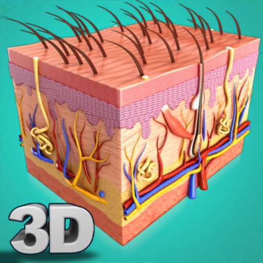 My Skin Anatomy app icon