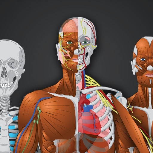 Memorix Anatomy QUIZ app icon