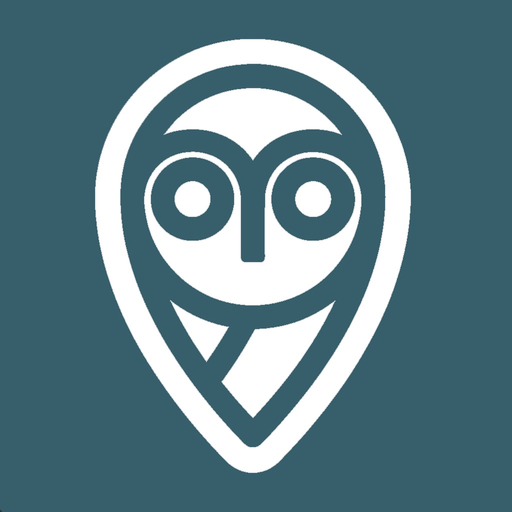 Nightscout X app icon