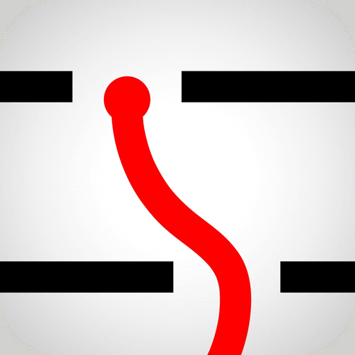 Dodgy Liner app icon