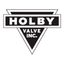 Holby Valve icon