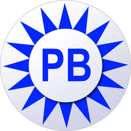 PaddleBallX app icon