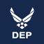 USAF Delayed Entry Program icon