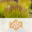 GrowerApp icon