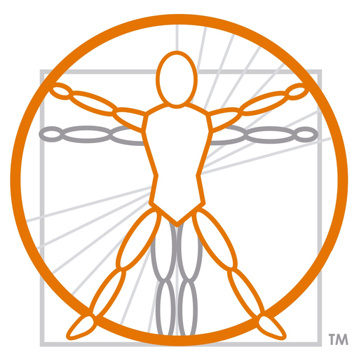 BSI AR ANATOMY app icon