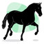 Black Horse Cowboy Stickers icon