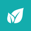 BetConstruct Spring icon