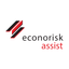 Econorisk Assist icon
