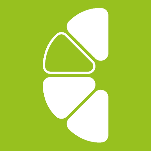 LimeStreamer app icon