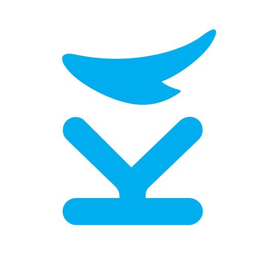 Karify for professionals app icon