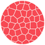 Liposome Suite icon