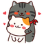 I Like Your Cat icon