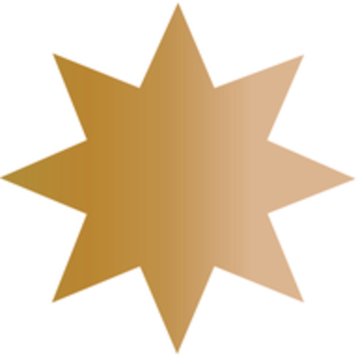Bibliapp app icon