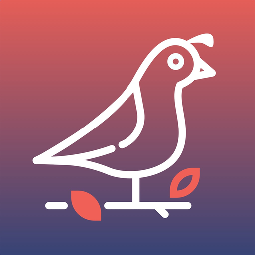 Bildilçin app icon