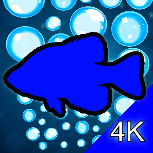 Aquarium 4K - Ultra HD Video app icon