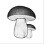 Mycolog icon