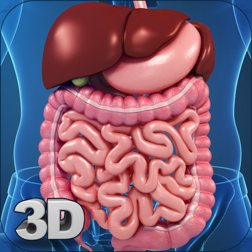 My Digestive System Anatomy app icon