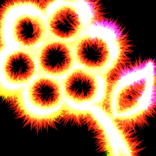 Sparkler Stickers app icon