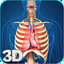 My Respiratory System Anatomy icon
