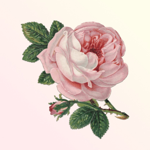 Classical Birthday app icon