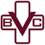 Brazoria Vet icon