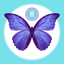 AR Butterflies icon