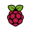Raspberry Pi. icon