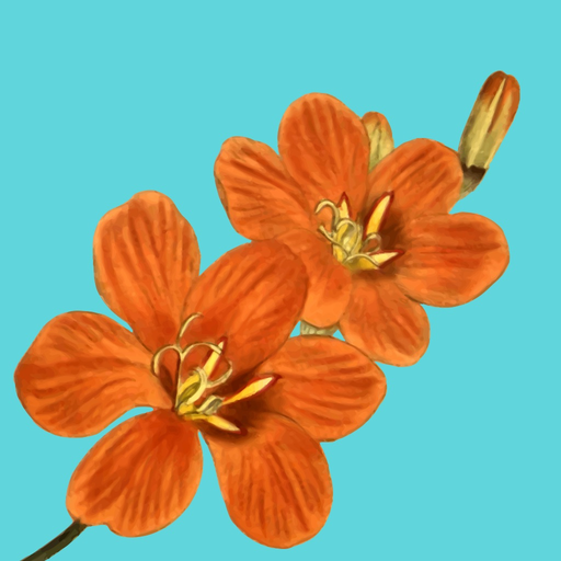 Blossoms. The stickers app icon