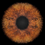 OcuStrong icon