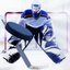 World Hockey Champion League icon