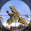 Pheasant Bird Hunting Game 3D icon