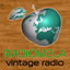 Radio Mela 80 90 Lovers icon