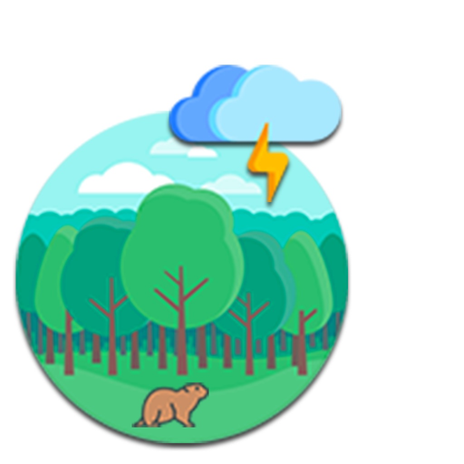 RainSound in Forest app icon