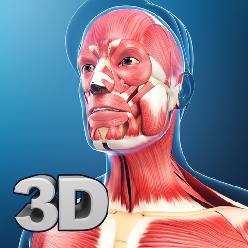 My Muscle Anatomy app icon