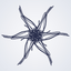 Rosette and Words icon