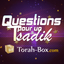 Questions pour un Tsadik icon