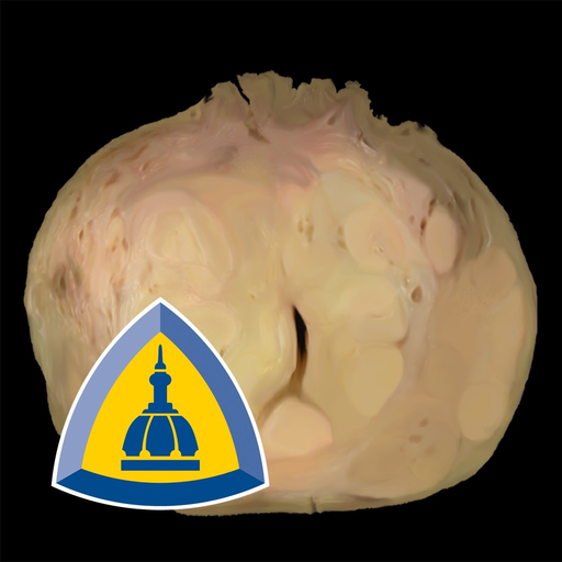 Hopkins Prostate Pathology app icon
