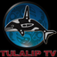 TulalipTV icon