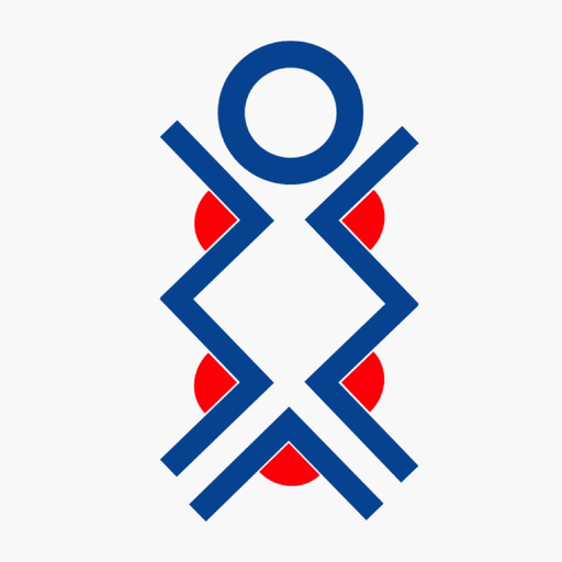 DK-HS/AI app icon