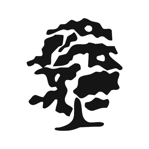 Champions Run app icon