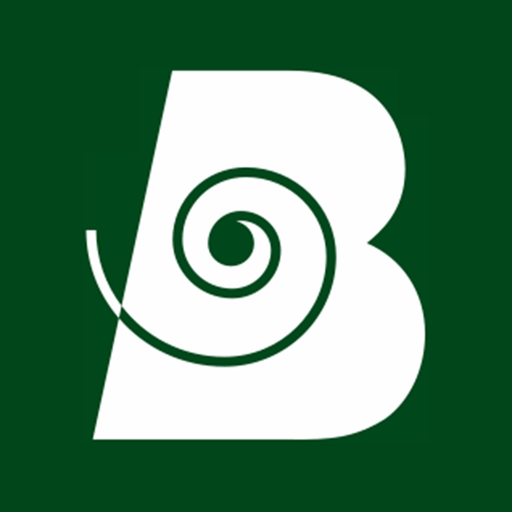 Belrobotics app icon